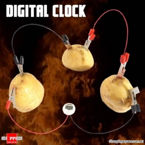 POTATO Powered Fruit Digital Clock Kit for Scientific Research Experience Equipment