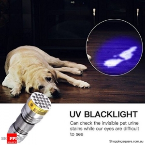 21-LED 400nm Violet UV LED Flashlight Fluorescence Sterilization Banknote Detection Torch - Silver
