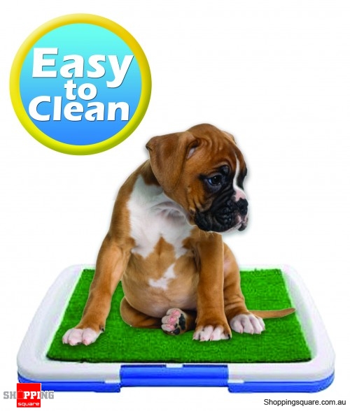Potty Pad-The indoor restroom for pets