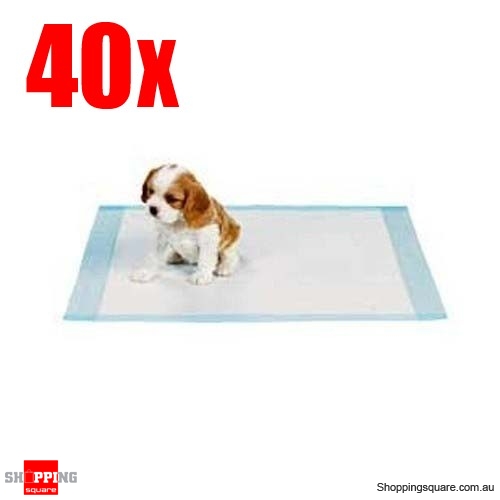 40pcs 60x60cm Puppy Dog Pet Toilet Training Pads