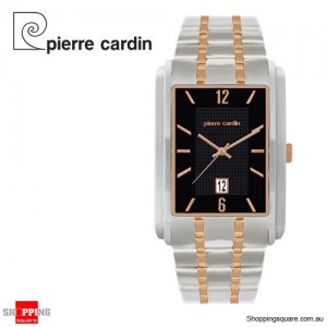 Pierre Cardin Stainless Steel Luxurious Quartz Resin Mens Watch 