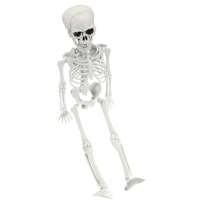 Dummy Human Body Skull Skeleton Corpse Accessory for Haunted House Decoration Halloween