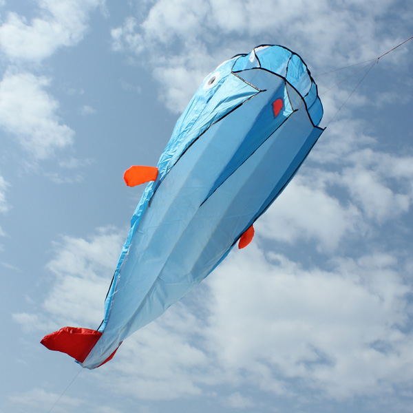 3D Huge Parafoil Giant Whale Kite Outdoor Toy Entertainment Sport For Kids